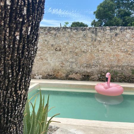La Casa Rosal, Pool Villa Campeche Exteriör bild