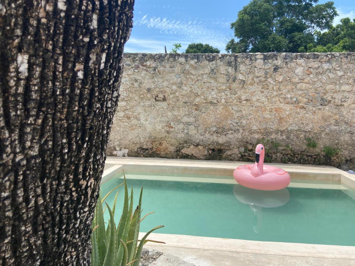 La Casa Rosal, Pool Villa Campeche Exteriör bild